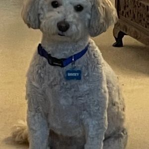 Meet your Posher, Gregg